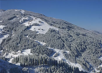 ferienwohnungen haus elisabeth direkt bei der gondelstation in wagrain